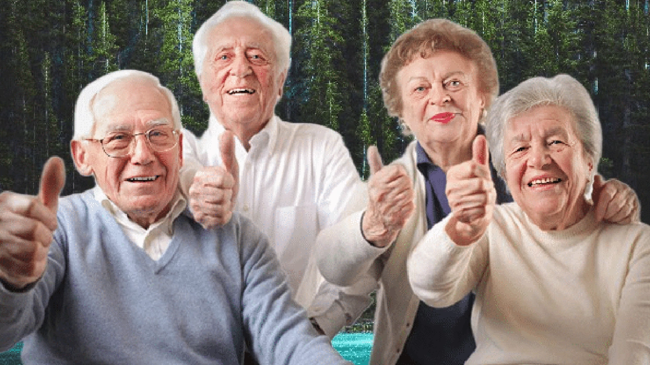 صورة A journey towards permanent youth: healthy arts to live with vitality and activity 