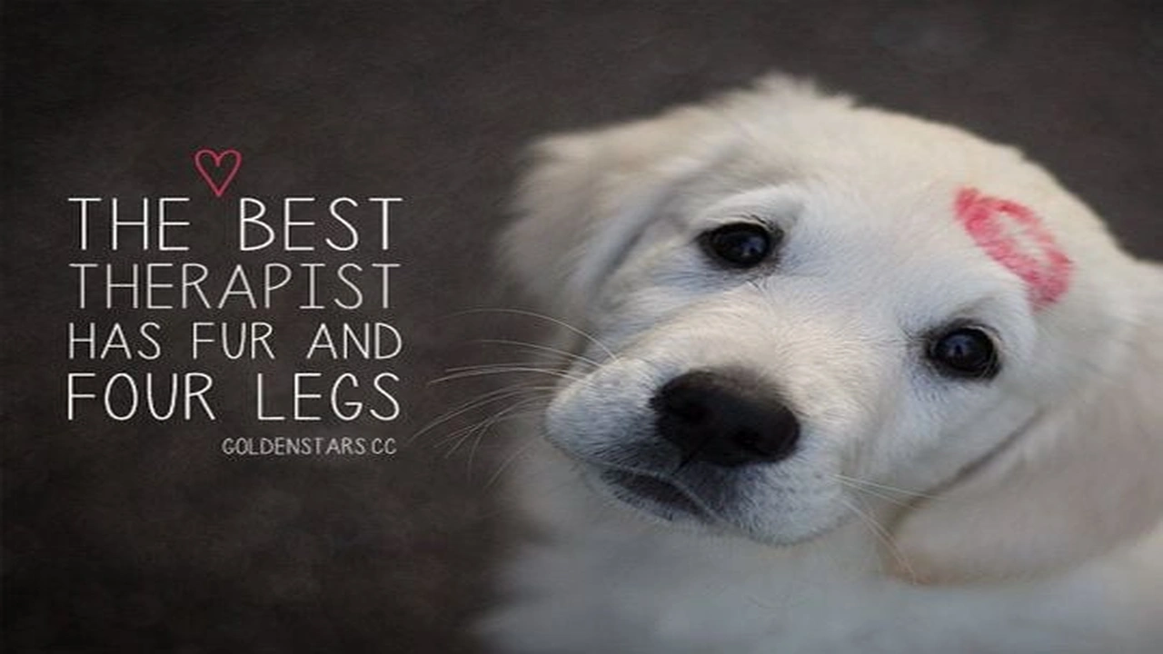 صورة quotes about dogs love
