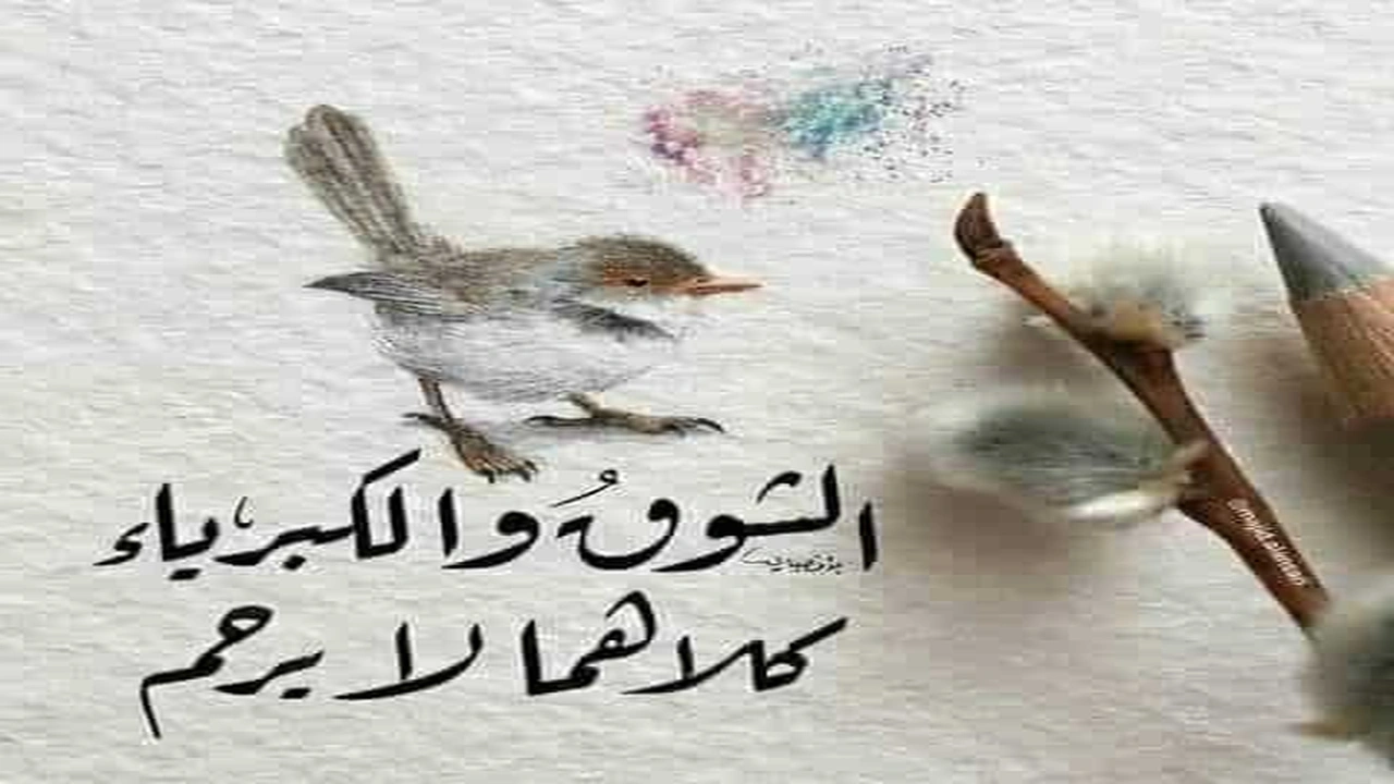 صورة ابيات تعبر عن الشوق