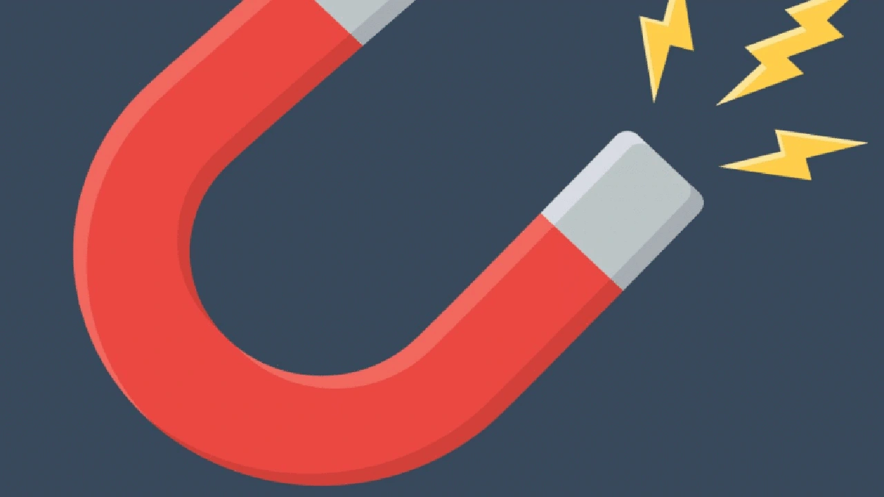 صورة اشياء فيها مغناطيس