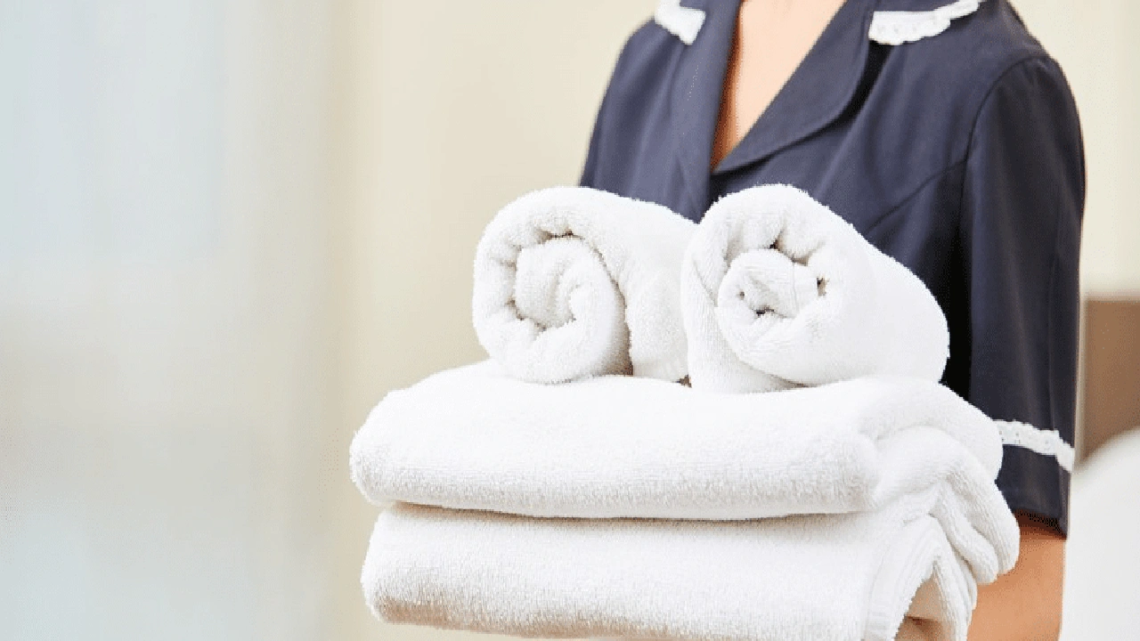 صورة افضل شركة عاملات منزلية