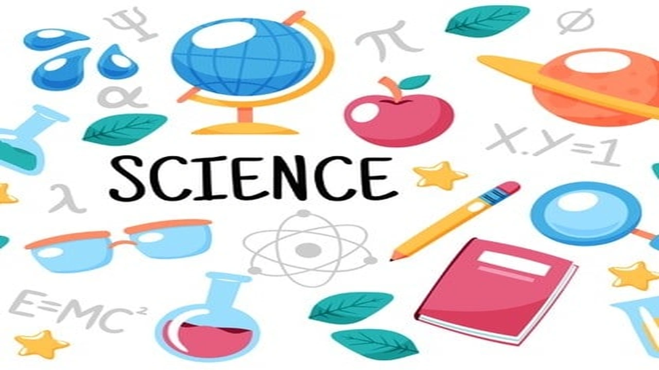 صورة حل كتاب العلوم اول ابتدائي الفصل الاول