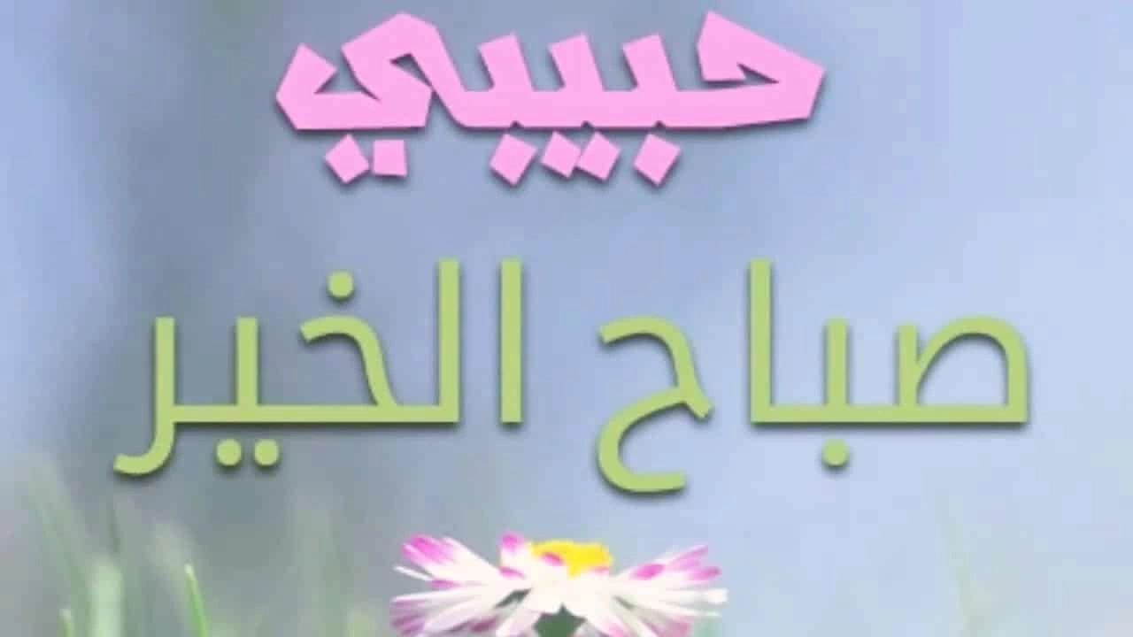 صورة صباح الورد حبيبي