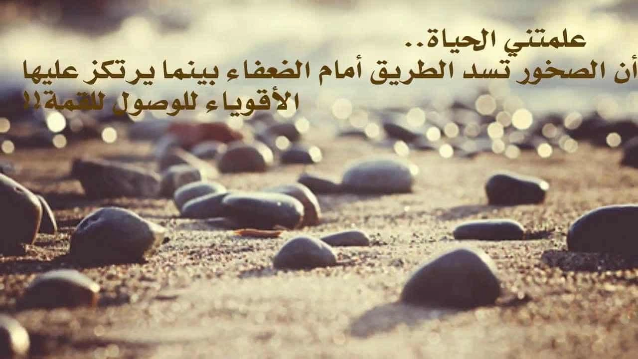 صورة عبارات فخمة عن الحياة