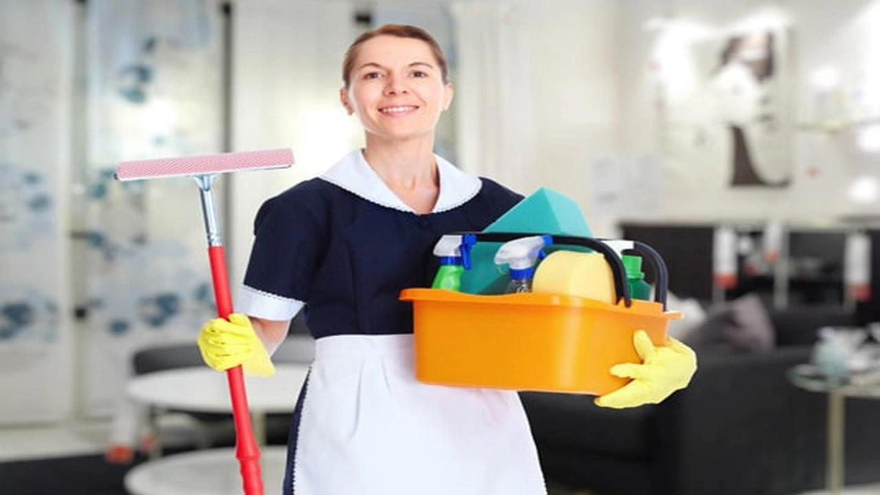 صورة عمالة منزلية بالشهر جازان