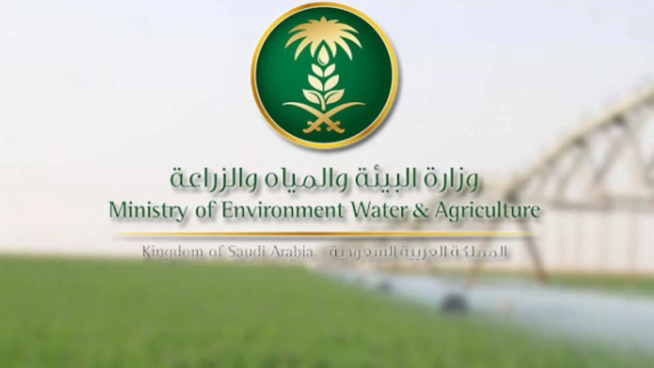 أنعام تسجيل الدخول | السعودية