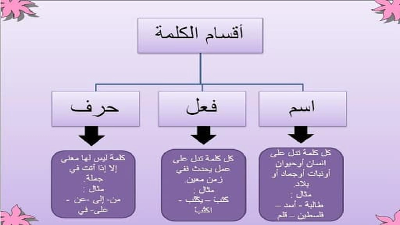 انواع الكلمة في اللغة العربية | السعودية