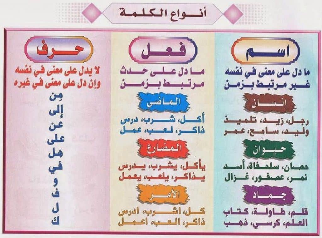 انواع الكلمة في اللغة العربية | السعودية
