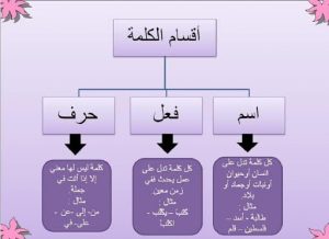 انواع الكلمة في اللغة العربية | السعودية