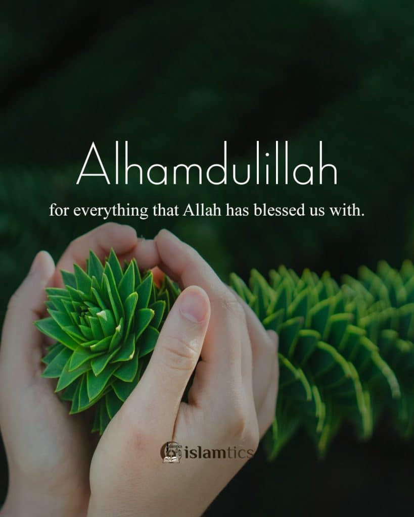 alhamdulillah for everything