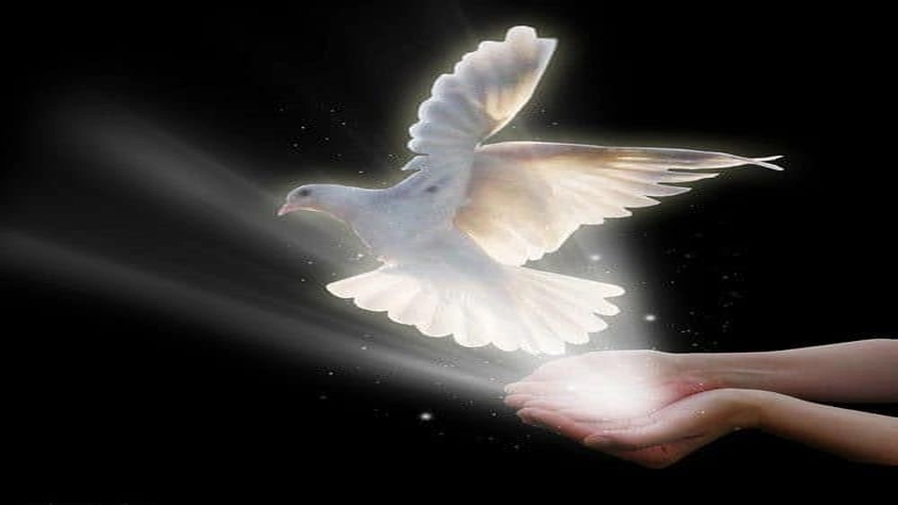 صورة quotes about death