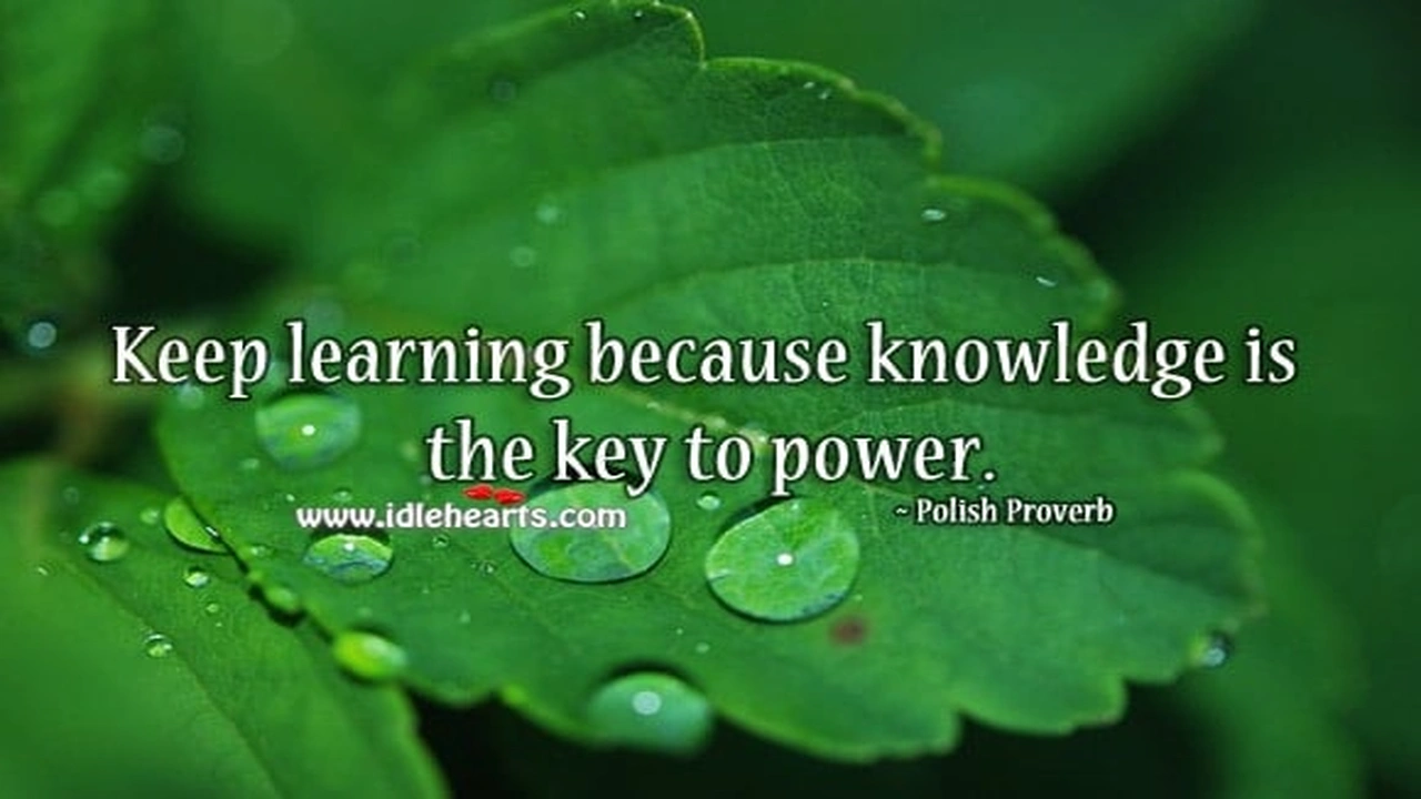 صورة quotes about knowledge and learning