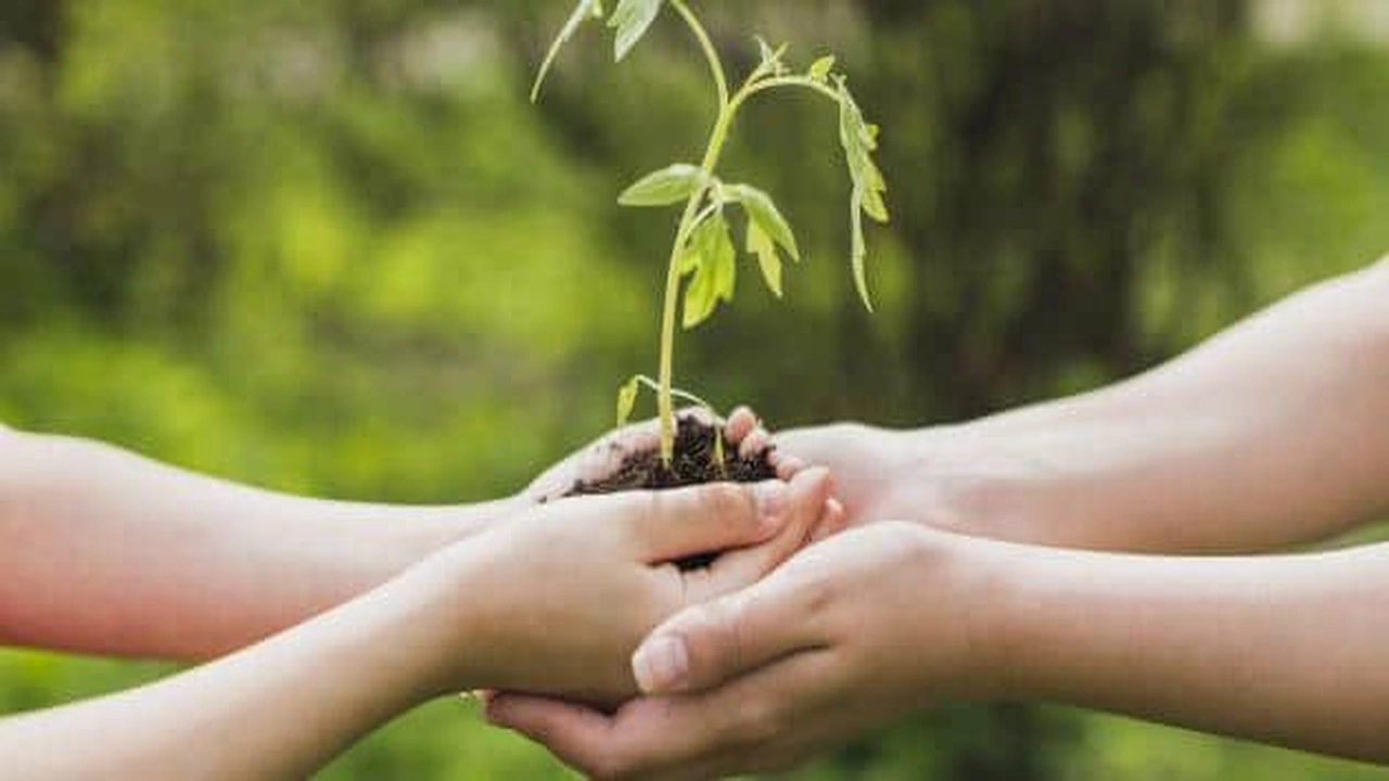 صورة أبيات شعر في فعل الخير