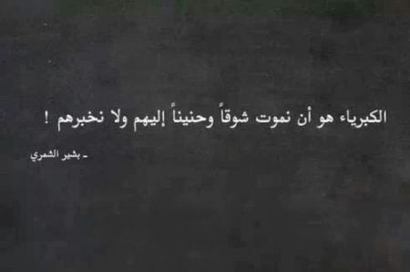 أبيات شعرية عن الكبرياء