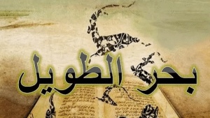 أبيات شعرية من البحر الطويل