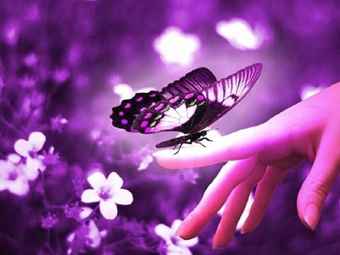 أجمل الصور خلفيات فيس بوك