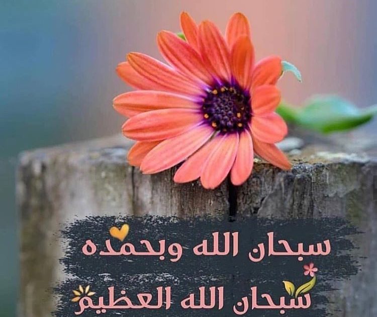 أذكار النوم الصحيحة