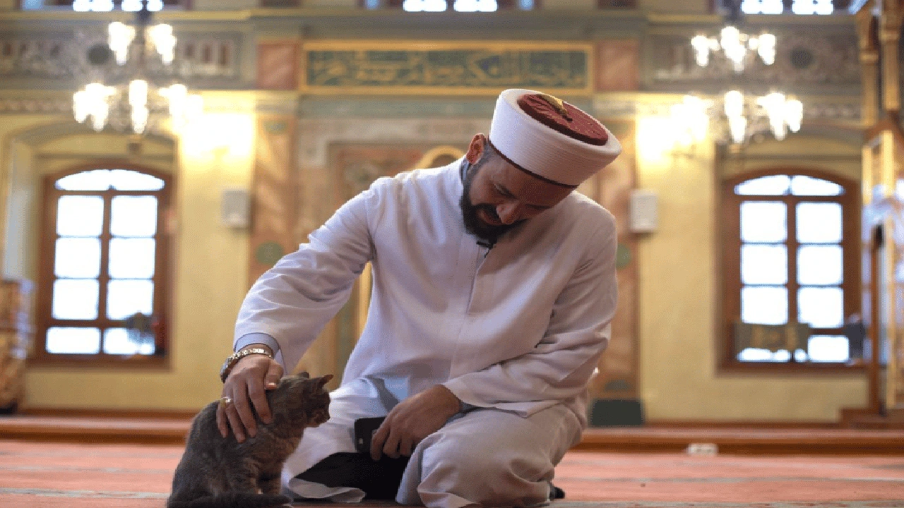 صورة أرقام شيوخ للاستفسارات واتس