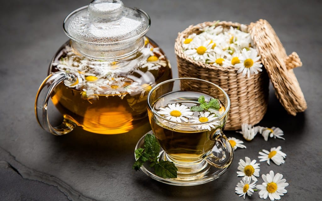 أسماء النباتات الطبية في السعودية