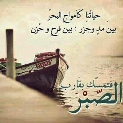 أشعار تويتر منوعه