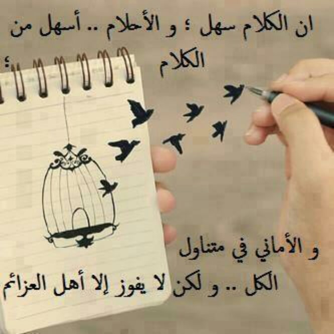 أشعار تويتر منوعه