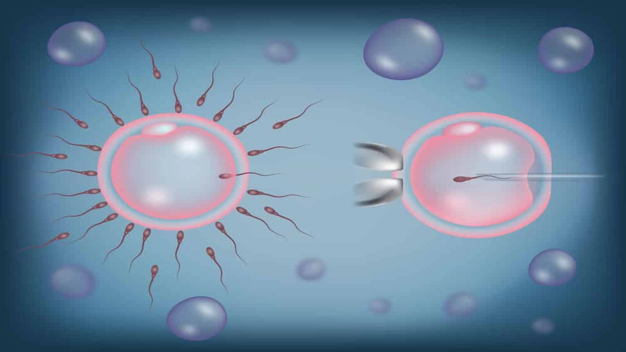 صورة أفضل دكتور اطفال انابيب في الكويت