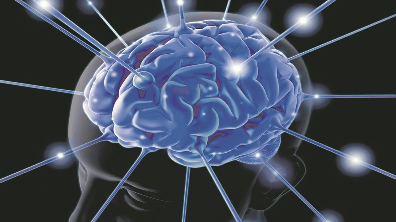 صورة أفضل دكتور اعصاب في ابوظبي 