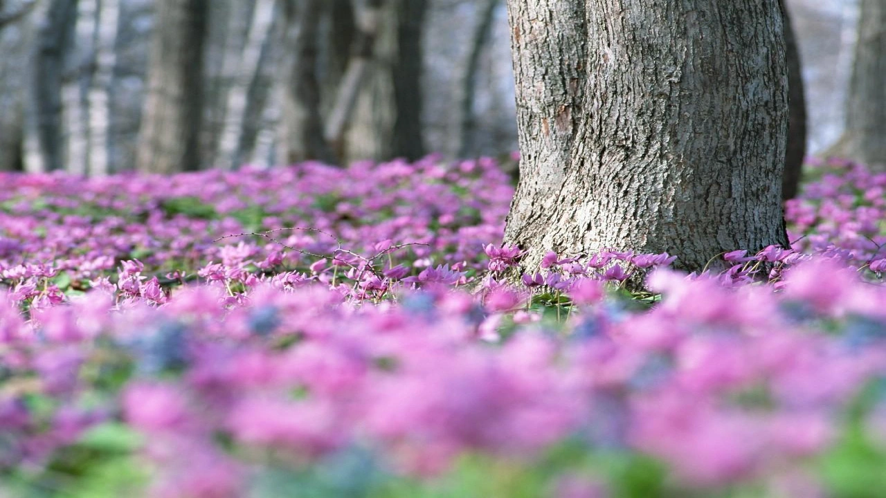 صورة أقوال فلسفية ساخرة
