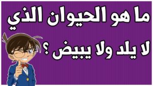 ألغاز للاطفال : افضل الغاز للاطفال محلولة، الغاز اطفال مضحكة 