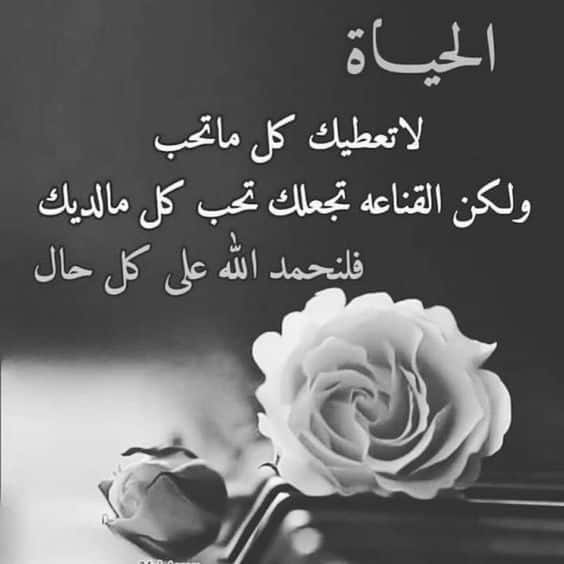 أمثال شعبية عن الحياة