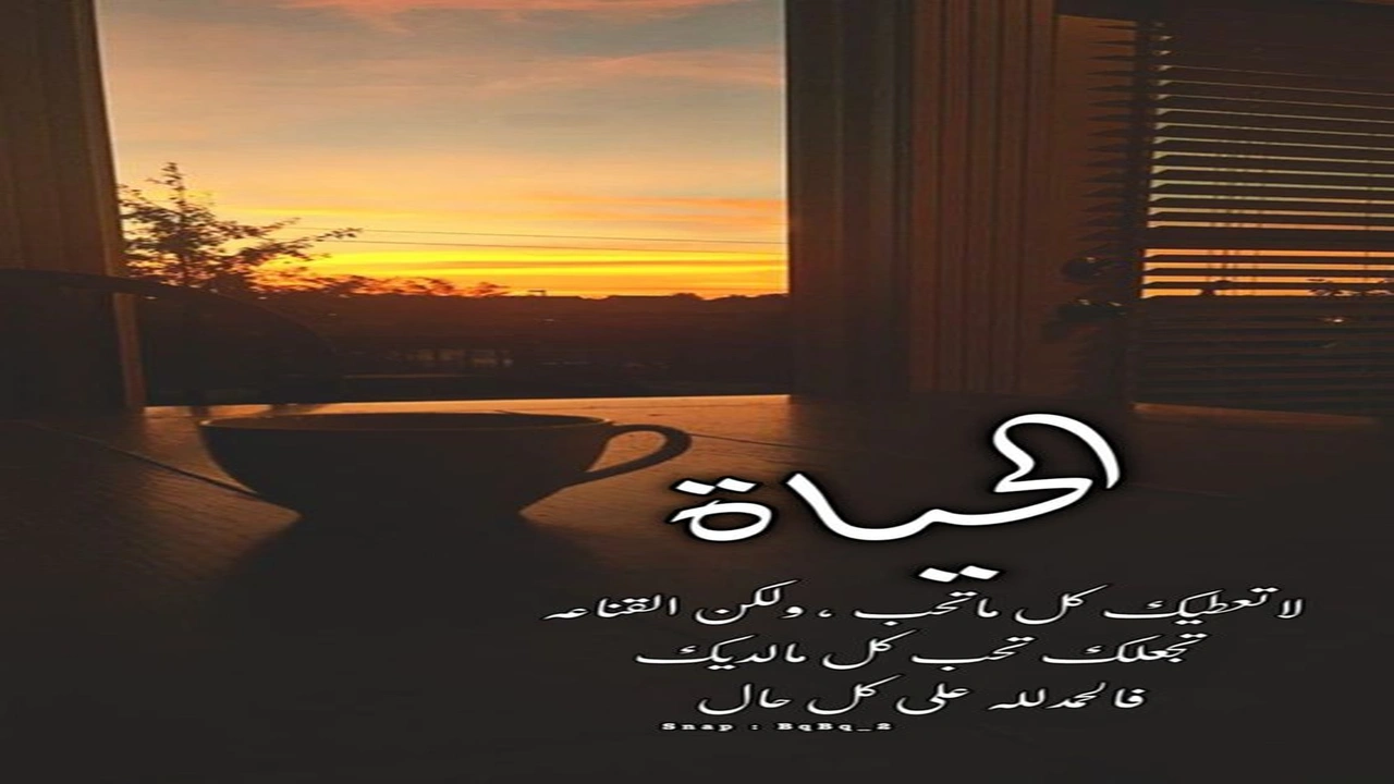 صورة أمثال شعبية عن الحياة