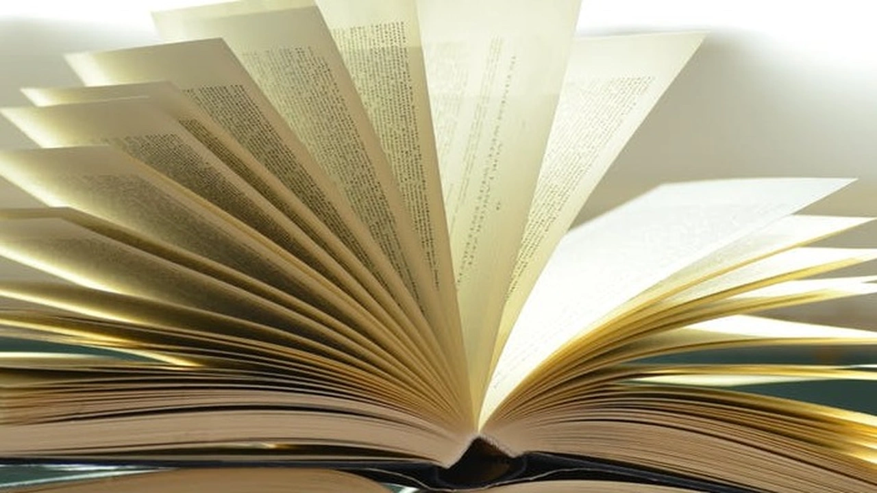 صورة أمثلة عن النمط الحجاجي