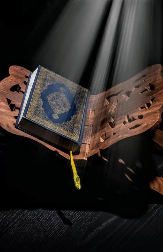 أمثلة من القرآن عن الأحكام العملية