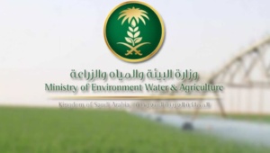 أنعام تسجيل الدخول