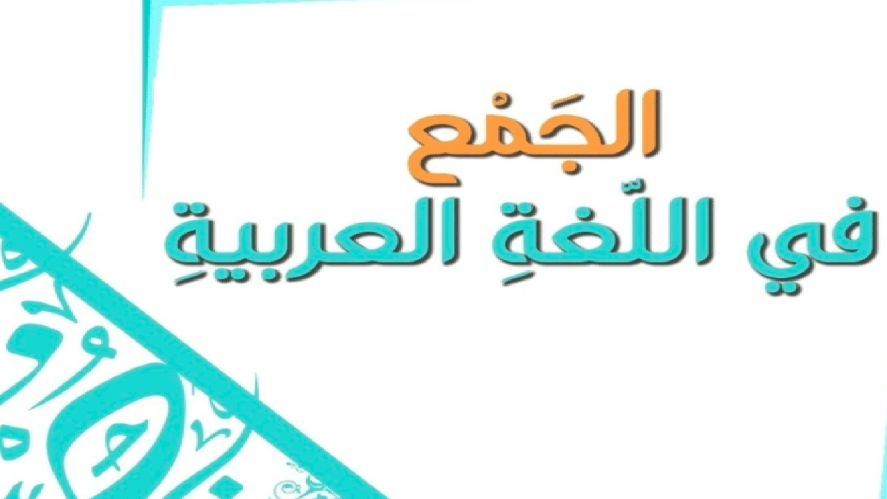 صورة أنواع الجمع