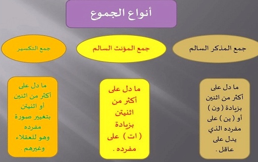 أنواع الجمع