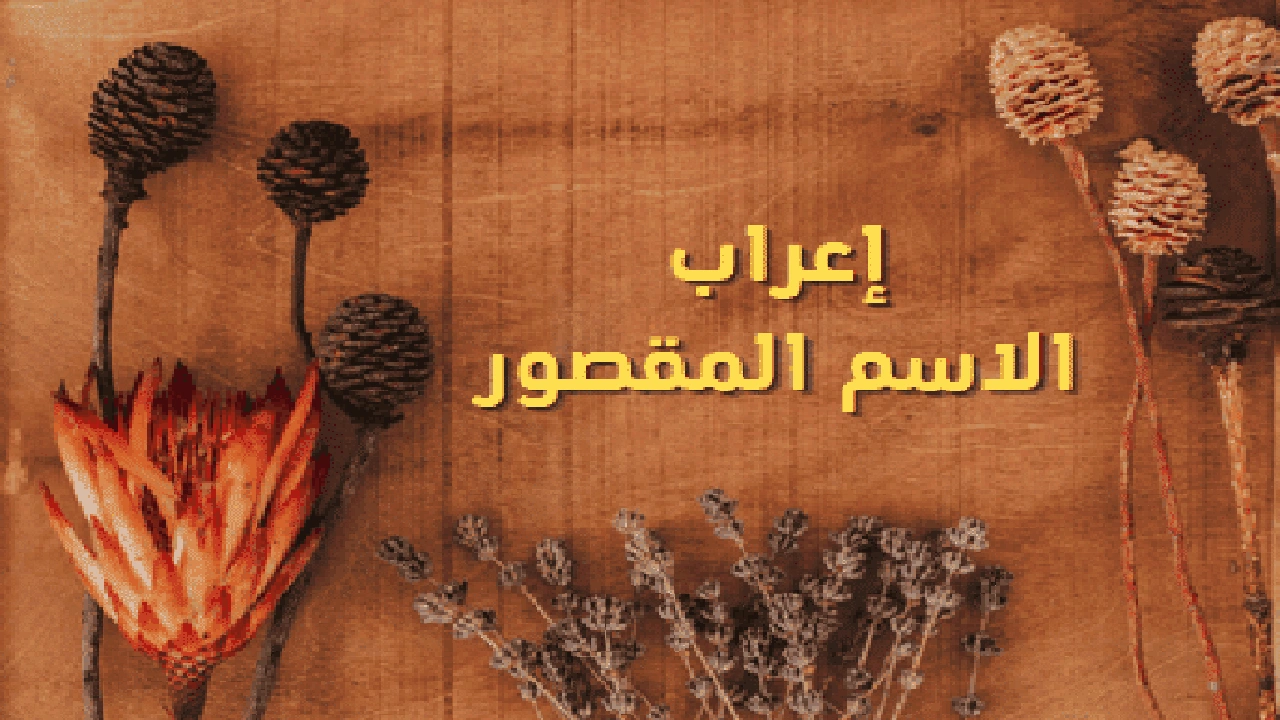 صورة إعراب الاسم المقصور