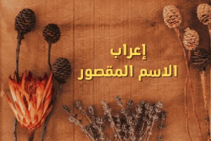 إعراب الاسم المقصور