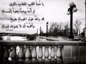 ابيات شعر عن الغربة
