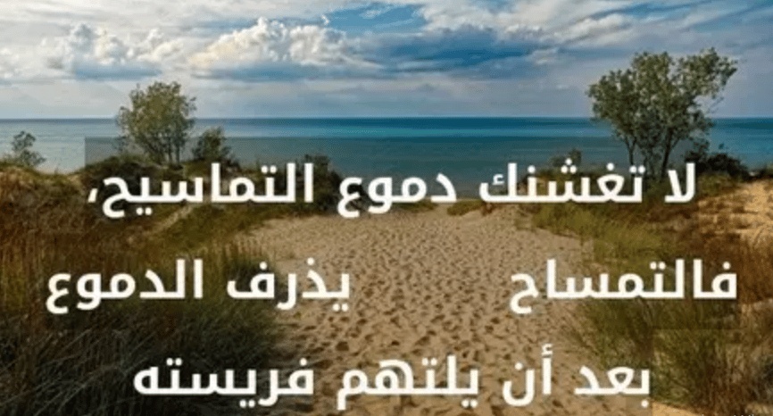 ابيات شعر عن دموع التماسيح