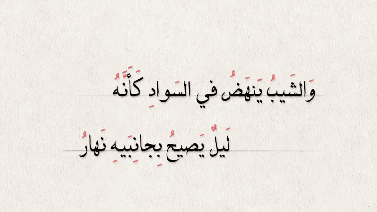صورة ابيات شعر عن شيب الراس