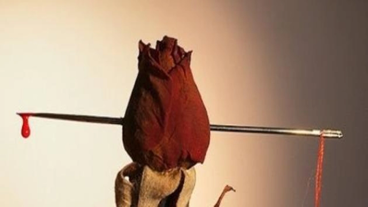 صورة ابيات شعر عن غدر الصحاب