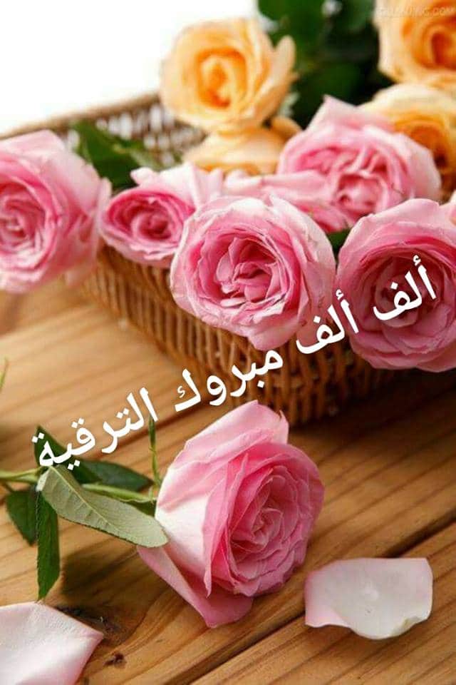 ابيات شعر في ترقيه