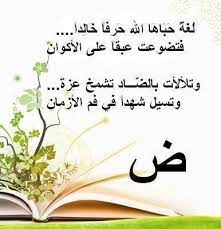 ابيات شعر في حب اللغة العربية
