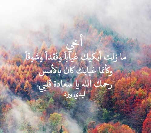 ابيات شعر في رثاء الاخ