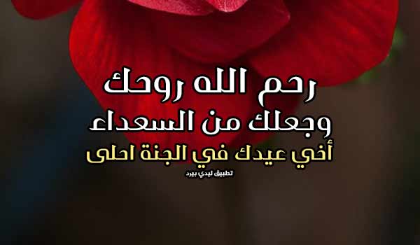 ابيات شعر في رثاء الاخ