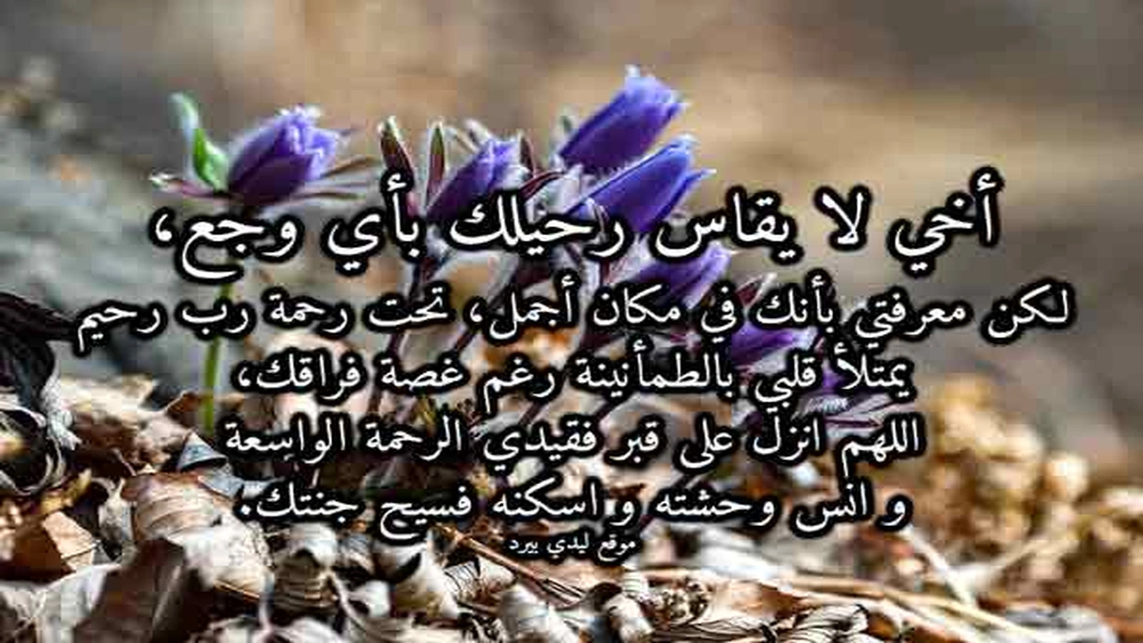 صورة ابيات شعر في رثاء الاخ