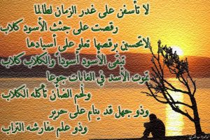 ابيات شعر في غدر الزمان