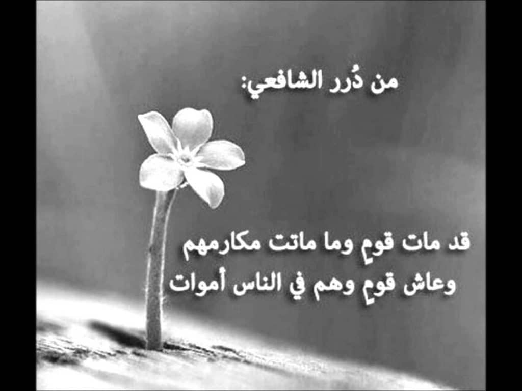 ابيات شعر للمتنبي عن الأخلاق