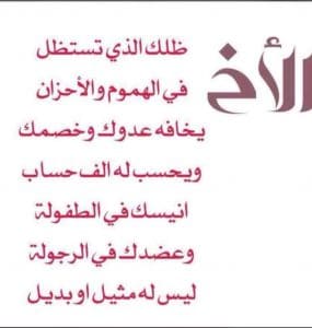 ابيات شعرية عن الاخوة